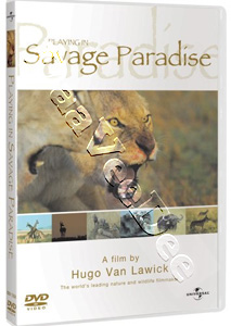 Playing In Savage Paradise |   DVD